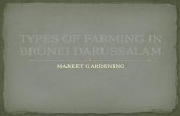 Types of Farming in Brunei Darussalam
