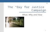 Day for justice webinar final_october 2011