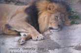Henry Doorly Zoo: Day 1