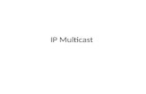 IP multicast