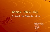 wimax Ppt for seminar