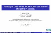 Homodyne Ultra-Dense WDM PONs: Can They be Affordable?