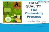 Data Quality - The Cleansing Process