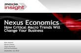 Nexus Economics: How Critical Macro Trends will Change Your Business