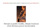 Burning New England's Forests for Electricity?