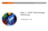 sap overview 1.1