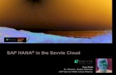 SAP HANA  in the Savvis Cloud
