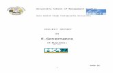 Project Report e Governance
