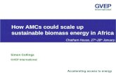 How Advance Market Commitments could scale up sustainable biomass energy in Africa