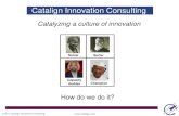 Catalign Innovation Consulting Offerings