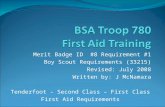 Boy Scout First Aid Merit Badge Training