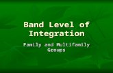Band Level of Integration