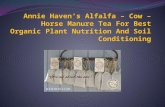 Annie Haven's Alfalfa – Cow – Horse Manure Tea For Best Organic Plant Nutrition And Soil Conditioning