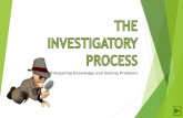 The investigatory process