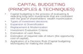 Capital Budgeting (Principles & Techniques)