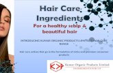 Hair care ingredients-Kumar Organic Products