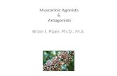 Muscarinic agonists and antagonists