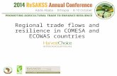 Regional Trade Flows and Resilience in COMESA and ECOWAS Countries