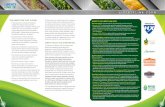 LibertyLink Liberty Integrated Pest Management_2013 Seed Trait Technology Manual Part 4