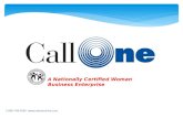 Call One 2012