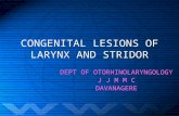 Congenital lesions of larynx