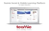 Teamie Higher Education Platform Updates