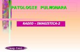 Radio Imagistica pulmonara 2. Patologie pulmonara