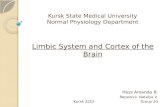 Limbic System and Cortex of the Brain