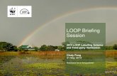 2014 LOOP Verification - Members' Briefing