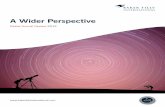 A wider perspective   global annual review 2012