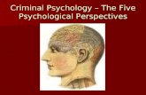 Psychological Perspectives