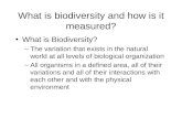 Biodiversity 60 Slides