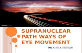 Supra Nuclear Eye Movement System