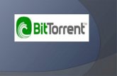 Bit Torrent Protocol