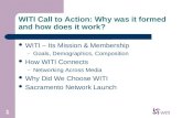 Witi Presentation For March 26 2009 Final