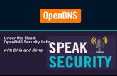 Speak Security: Under the Hood of the OpenDNS Security Research Labs with Dhia and Dima