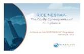 BlueScape RICE NESHAP Webinar 2-26-13
