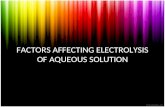 Factors Affecting Electrolysis of Aqueous Solution