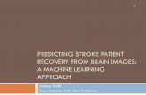 Predicting Stroke Patient Recovery from Brain Images: A Machine Learning Approach