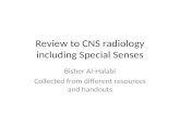 Review to CNS Radiology Including SS
