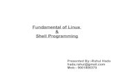 Fundamental of Shell Programming