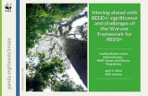 Moving ahead with REDD+: challenges and opportunities