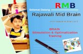 Rajawali Midbrain Marketing Plan I Genius Training Center I 087880003456