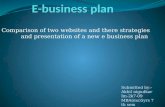 E Business Plan