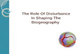Role of the disturbance in shaping bio geography