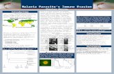 Bio 113 Malaria's Parasite Immune Evasion Presentation