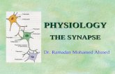 Phys of Synapse
