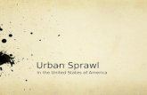 Urban sprawl presentation- Danyal Adnan K