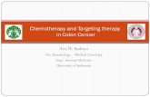 Chemotherapy and Targeting therapy in Colon Cancer
