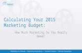 Calculating your 2015 marketing budget: How much marketing do you really need?